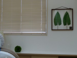 P1020610