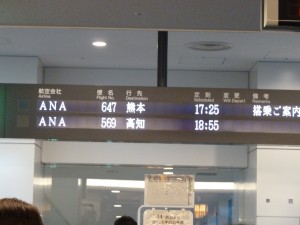 P1020774
