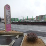P1000406