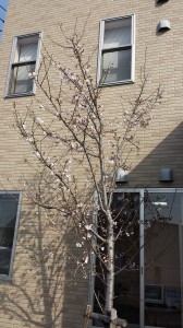 20150330_090839