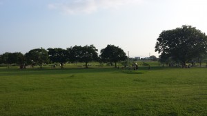 20150628_181208